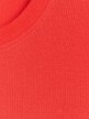 Męski t-shirt z nadrukiem 4F 4FRAW25TTSHM3319 - czerwony