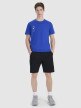 Męski t-shirt z nadrukiem 4F 4FRSS25TTSHM2850 - niebieski