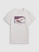 Męski t-shirt z nadrukiem 4F 4FRSS25TTSHM2980 - szary