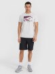Męski t-shirt z nadrukiem 4F 4FRSS25TTSHM2980 - szary