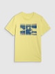 Męski t-shirt z nadrukiem 4F 4FRSS25TTSHM2995 - zielony