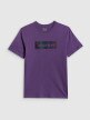 mini: Męski t-shirt z nadrukiem 4F 4FRSS26TTSHM3659 - fioletowy (8)