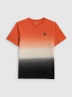 mini: Męski t-shirt z nadrukiem 4F 4FRSS26TTSHM3815 - multikolor (5)
