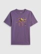 mini: Męski t-shirt z nadrukiem 4F 4FRSS26TTSHM4000 - fioletowy (5)