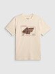 mini: Męski t-shirt z nadrukiem 4F 4FRSS26TTSHM4230 - kremowy (5)