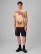 mini: Męski t-shirt z nadrukiem 4F 4FRSS26TTSHM4237 - multikolor (2)