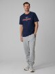 mini: Męski t-shirt z nadrukiem 4F 4FWSS26TTSHM3324 - granatowy (5)