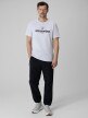 mini: Męski t-shirt z nadrukiem 4F 4FWSS26TTSHM3324 - szary (5)