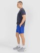 Męskie spodenki casual 4F 4FWSS25TSHOM533  - niebieskie