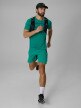 mini: Męskie spodenki do biegania 4F 4FWSS26TFSHM1291 - zielone (1)