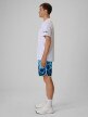 mini: Męskie spodenki plażowe boardshorty 4F 4FRSS26UBDSM226 - multikolor (3)