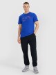 Męskie spodnie casual 4F 4FWSS25TTROM1001 - czarne