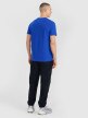 Męskie spodnie casual 4F 4FWSS25TTROM1001 - czarne