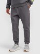 mini: Męskie spodnie dresowe joggery 4F 4FRAW25TTROM1610 - szare (5)