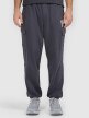 mini: Męskie spodnie dresowe joggery 4F 4FRAW25TTROM1694 - szare (2)