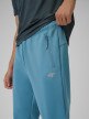 mini: Męskie spodnie treningowe 4F 4FRSS26TFTRM1412 - niebieskie (4)