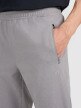 Męskie spodnie treningowe 4F 4FWMM00TFTRM1067 - szare