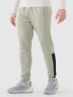 Męskie spodnie treningowe 4F 4FWSS25TFTRM0836 - khaki