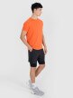 Męskie spodenki treningowe 4F x Robert Lewandowski RL9SSS25TFSHM1203 - czarne