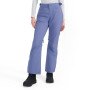 Damskie spodnie narciarskie Roxy Backyard Pants - niebieskie