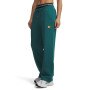 mini: Damskie spodnie dresowe Under Armour Sport Terry Trend Pant - zielone (2)