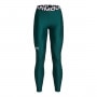Damskie legginsy treningowe Under Armour UA HG Legging - zielone