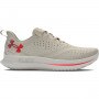UNDER ARMOUR Damskie buty do biegania Under Armour UA W Velociti 4 Se  beżowe Beżowy