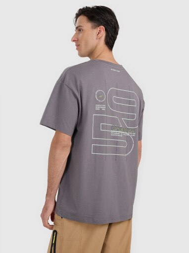 Męski t-shirt z nadrukiem 4F 4FRAW25TTSHM3220 - szary