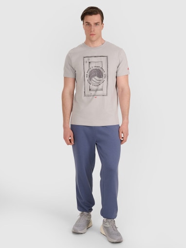 Męski t-shirt z nadrukiem 4F 4FRAW25TTSHM3236 - szary