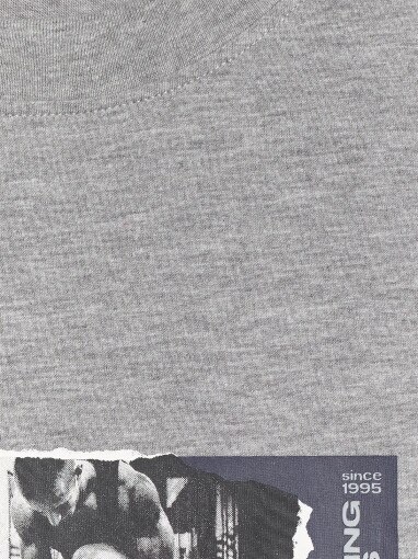 Męski t-shirt z nadrukiem 4F 4FRAW25TTSHM3364 - szary