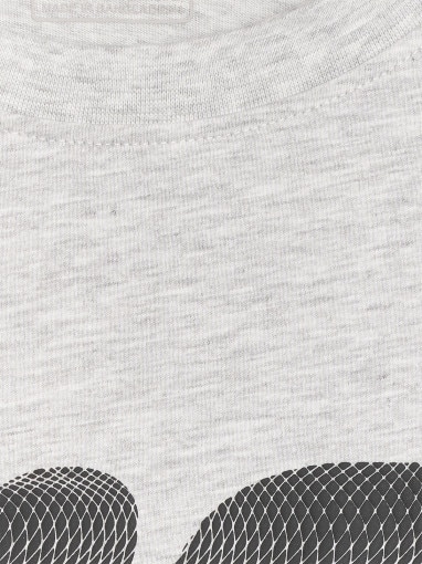 Męski t-shirt z nadrukiem 4F 4FRMM00TTSHM3251 - szary