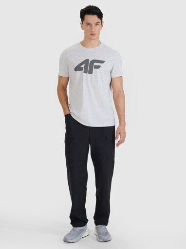 Męski t-shirt z nadrukiem 4F 4FWMM00TTSHM2658 - szary