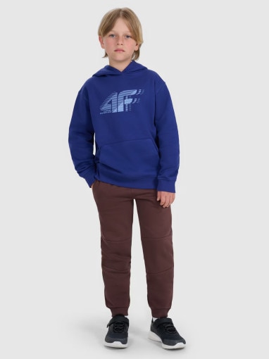 4F JUNIOR Chłopięce spodnie dresowe joggery 4F 4FJRAW25TTROM1578  brązowe Brązowy