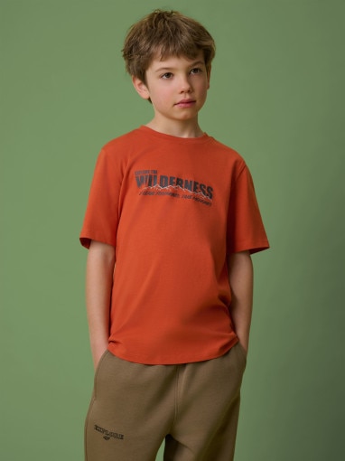  4F JUNIOR Chłopięcy tshirt z nadrukiem 4F 4FJRSS26TTSHM3695  pomarańczowy Pomarańczowy