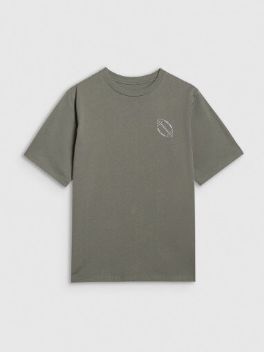 4F JUNIOR Chłopięcy tshirt z nadrukiem 4F 4FJWAW25TTSHM2412  szary Szary