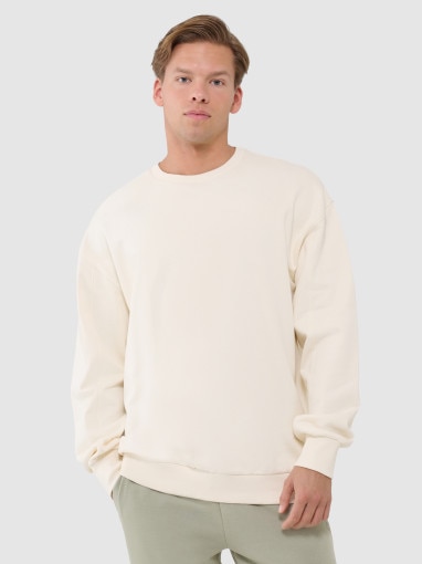 4F Męska bluza dresowa oversize nierozpinana bez kaptura 4F 4FWSS25TSWSM1536  beżowa Beżowy