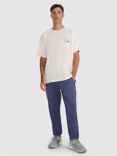 Męski t-shirt oversize z nadrukiem 4F 4FWAW25TTSHM2401 - beżowy