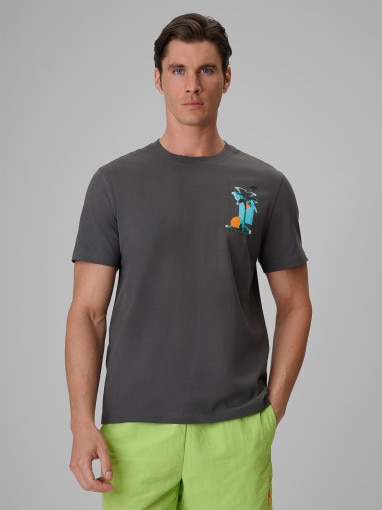Obrazek dla: 4F Męski tshirt z nadrukiem 4F 4FRSS26TTSHM4301  szary Szary