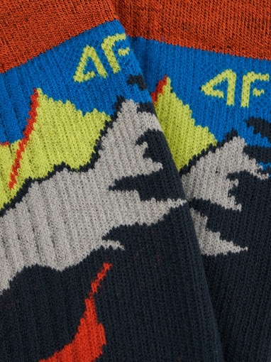 Męskie skarpetki trekkingowe 4F 4FRSS26UFSOM367 - multikolor