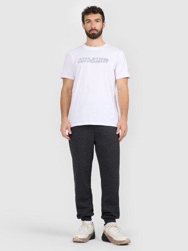 4F Męskie spodnie dresowe joggery 4F 4FRAW25TTROM1696 szare Szary