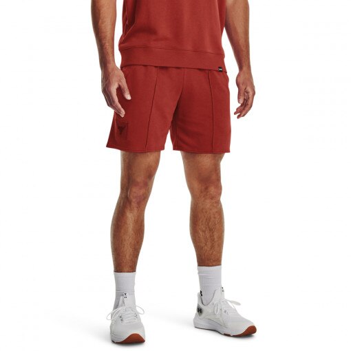 Męskie spodenki treningowe Under Armour Project Rock Terry Gym Short - brązowe