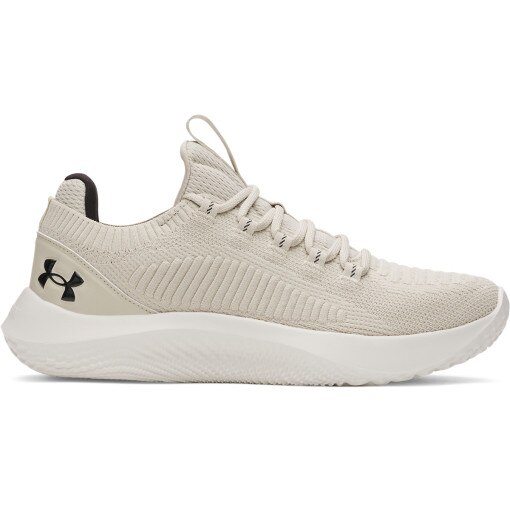 UNDER ARMOUR Męskie buty treningowe Under Armour UA W Dynamic 2  beżowe Beżowy