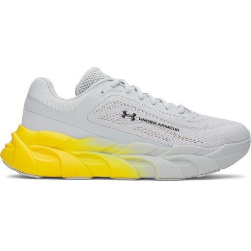 UNDER ARMOUR Męskie buty do biegania Under Armour Halo Runner NM szare Szary