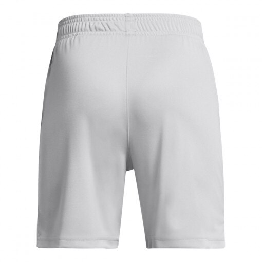 Chłopięce spodenki treningowe Under Armour UA Tech Logo Shorts - szare 