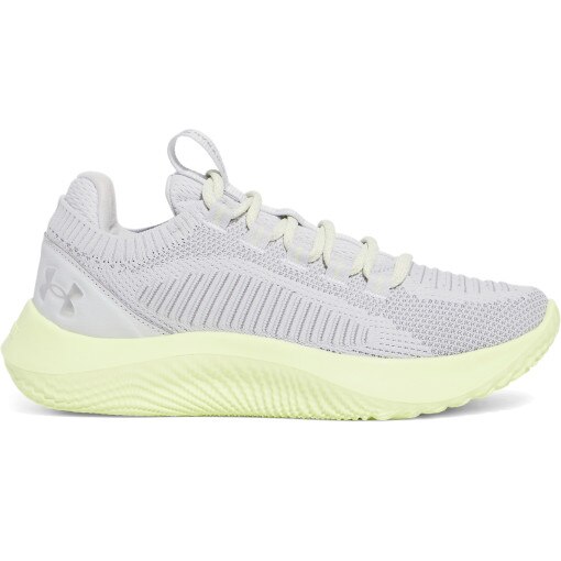 UNDER ARMOUR Damskie buty treningowe Under Armour UA W Dynamic 2  szare Szary