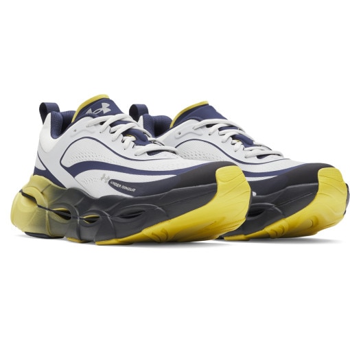 Męskie buty do biegania Under Armour UA Halo Racer - szare 