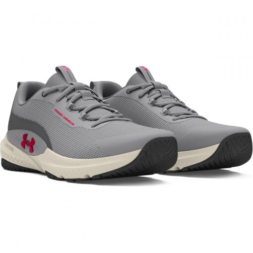 Męskie buty treningowe Under Armour UA Dynamic Select - szare