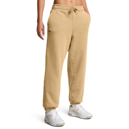 Damskie spodnie dresowe Under Armour UA Icon Hwt Flc Os Pant - brązowe