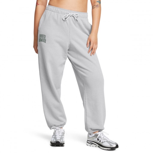 Damskie spodnie dresowe Under Armour UA Icon Hwt Terry Os Pant - szare