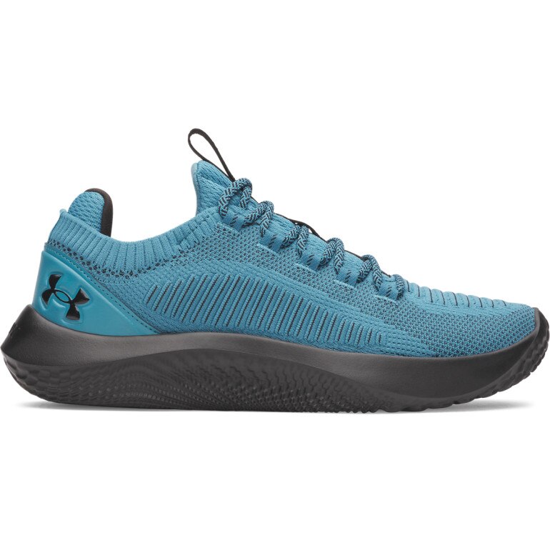 Męskie buty treningowe Under Armour UA W Dynamic 2 - niebieskie